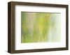 Willow-Jeannie Sellmer-Framed Art Print