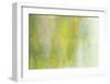 Willow-Jeannie Sellmer-Framed Art Print