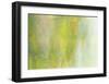 Willow-Jeannie Sellmer-Framed Giclee Print