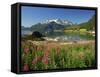 Willowherb Beside Lake and Boat at Anchor, Lofoten Islands, Norway, Scandinavia, Europe-Groenendijk Peter-Framed Stretched Canvas
