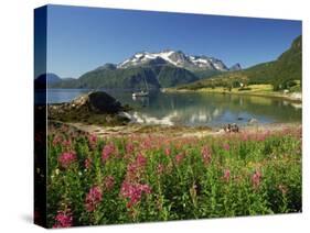 Willowherb Beside Lake and Boat at Anchor, Lofoten Islands, Norway, Scandinavia, Europe-Groenendijk Peter-Stretched Canvas