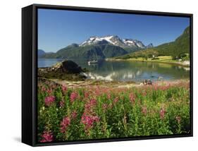 Willowherb Beside Lake and Boat at Anchor, Lofoten Islands, Norway, Scandinavia, Europe-Groenendijk Peter-Framed Stretched Canvas