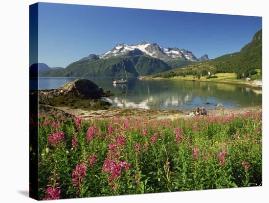 Willowherb Beside Lake and Boat at Anchor, Lofoten Islands, Norway, Scandinavia, Europe-Groenendijk Peter-Stretched Canvas