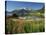 Willowherb Beside Lake and Boat at Anchor, Lofoten Islands, Norway, Scandinavia, Europe-Groenendijk Peter-Stretched Canvas