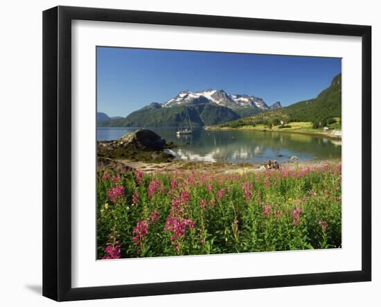 Willowherb Beside Lake and Boat at Anchor, Lofoten Islands, Norway, Scandinavia, Europe-Groenendijk Peter-Framed Photographic Print