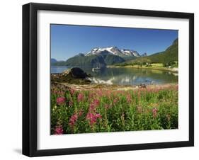 Willowherb Beside Lake and Boat at Anchor, Lofoten Islands, Norway, Scandinavia, Europe-Groenendijk Peter-Framed Photographic Print