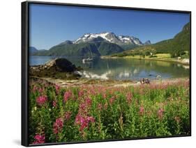 Willowherb Beside Lake and Boat at Anchor, Lofoten Islands, Norway, Scandinavia, Europe-Groenendijk Peter-Framed Photographic Print