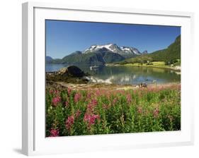 Willowherb Beside Lake and Boat at Anchor, Lofoten Islands, Norway, Scandinavia, Europe-Groenendijk Peter-Framed Photographic Print