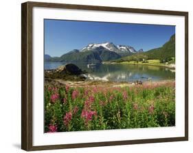 Willowherb Beside Lake and Boat at Anchor, Lofoten Islands, Norway, Scandinavia, Europe-Groenendijk Peter-Framed Photographic Print