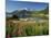 Willowherb Beside Lake and Boat at Anchor, Lofoten Islands, Norway, Scandinavia, Europe-Groenendijk Peter-Mounted Photographic Print