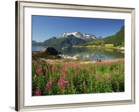 Willowherb Beside Lake and Boat at Anchor, Lofoten Islands, Norway, Scandinavia, Europe-Groenendijk Peter-Framed Photographic Print