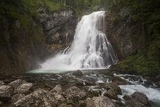 Schwarzbach River-Willowisp-Photographic Print