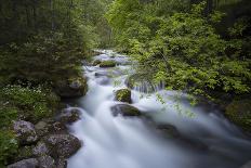 Schwarzbach River-Willowisp-Photographic Print