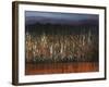 Willows Edge-Tim O'toole-Framed Giclee Print