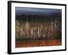 Willows Edge-Tim O'toole-Framed Giclee Print