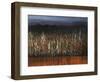 Willows Edge-Tim O'toole-Framed Premium Giclee Print