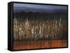 Willows Edge-Tim O'toole-Framed Stretched Canvas