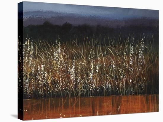 Willows Edge-Tim O'toole-Stretched Canvas