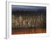 Willows Edge-Tim O'toole-Framed Giclee Print