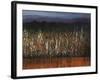 Willows Edge-Tim O'toole-Framed Giclee Print