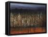 Willows Edge-Tim O'toole-Framed Stretched Canvas