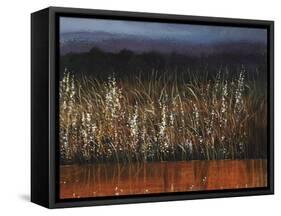 Willows Edge-Tim O'toole-Framed Stretched Canvas