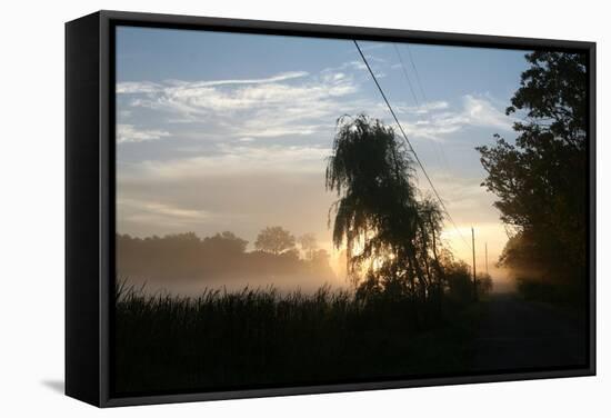 Willows Morning Road-Robert Goldwitz-Framed Stretched Canvas