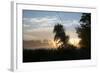 Willows Morning Road-Robert Goldwitz-Framed Photographic Print