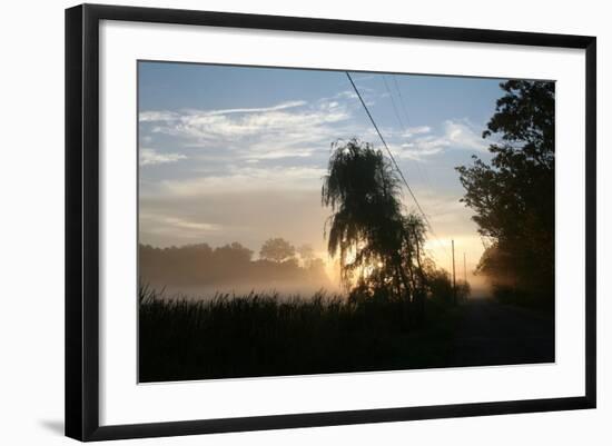 Willows Morning Road-Robert Goldwitz-Framed Photographic Print