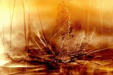 Burning water-Willy Marthinussen-Photographic Print