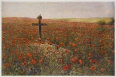 In Flanders Fields-Willy Werner-Framed Stretched Canvas