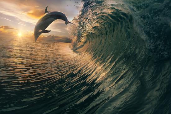 Premium Photographic Print, , large
