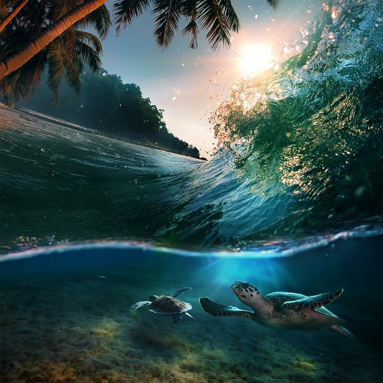 Photographic Print, , large