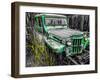 Willys Green-Heidi Bannon-Framed Photo