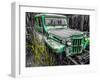 Willys Green-Heidi Bannon-Framed Photo