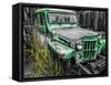 Willys Green-Heidi Bannon-Framed Stretched Canvas