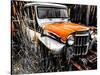 Willys Rust II-Heidi Bannon-Stretched Canvas