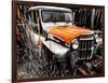 Willys Rust II-Heidi Bannon-Framed Photo