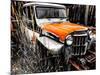 Willys Rust II-Heidi Bannon-Mounted Photo