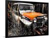 Willys Rust II-Heidi Bannon-Framed Photo