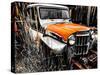 Willys Rust II-Heidi Bannon-Stretched Canvas