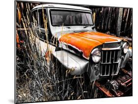 Willys Rust II-Heidi Bannon-Mounted Photo