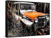 Willys Rust II-Heidi Bannon-Framed Stretched Canvas