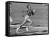 Wilma Rudolph, Across the Finish Line to Win One of Her 3 Gold Medals at the 1960 Summer Olympics-Mark Kauffman-Framed Stretched Canvas