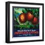 Wilshire's Oak Glen Apple Crate Label - Yucaipa, CA-Lantern Press-Framed Art Print