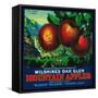 Wilshire's Oak Glen Apple Crate Label - Yucaipa, CA-Lantern Press-Framed Stretched Canvas