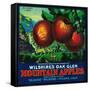 Wilshire's Oak Glen Apple Crate Label - Yucaipa, CA-Lantern Press-Framed Stretched Canvas