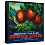 Wilshire's Oak Glen Apple Crate Label - Yucaipa, CA-Lantern Press-Framed Stretched Canvas