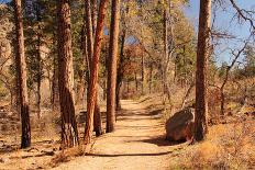 Hiking Trail-Wilsilver-Photographic Print