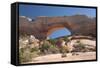 Wilson Arch, Near Moab, Utah, United States of America, North America-Richard Maschmeyer-Framed Stretched Canvas